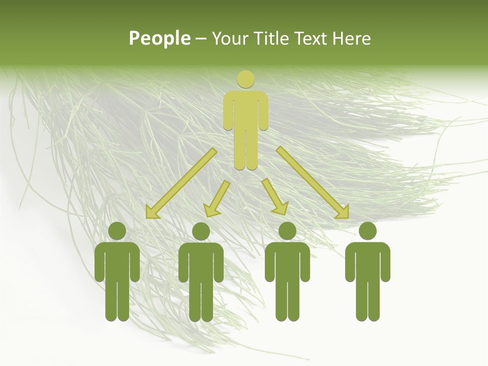 Cure Herb Image PowerPoint Template