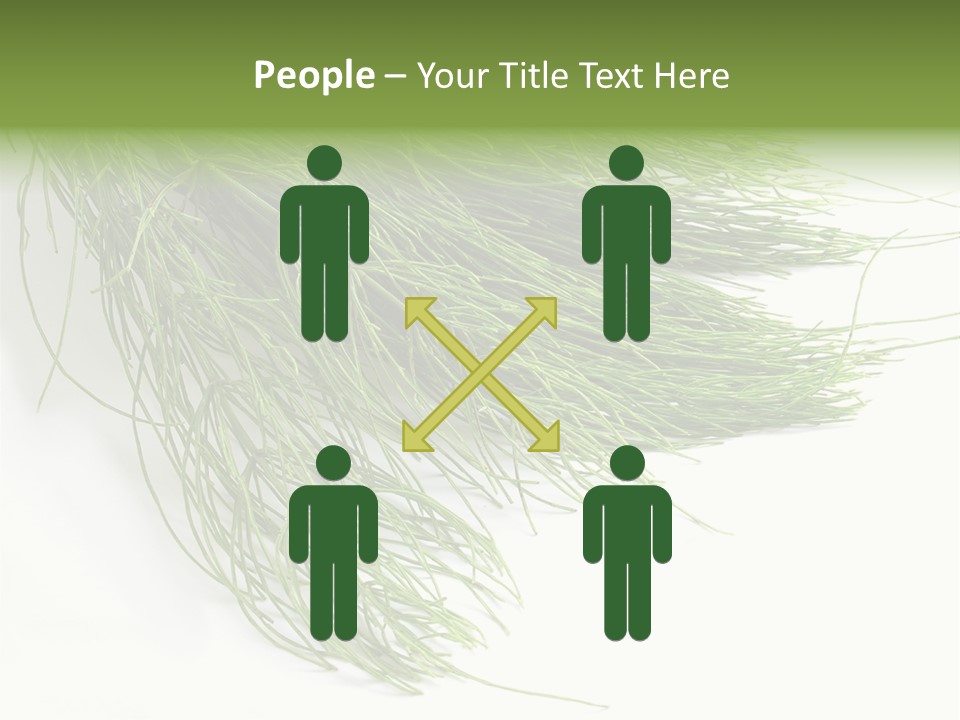 Cure Herb Image PowerPoint Template