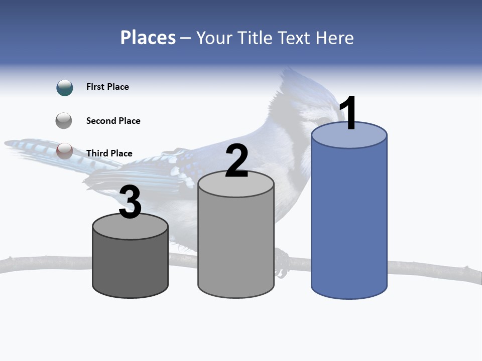 Wildlife Perch Bird PowerPoint Template