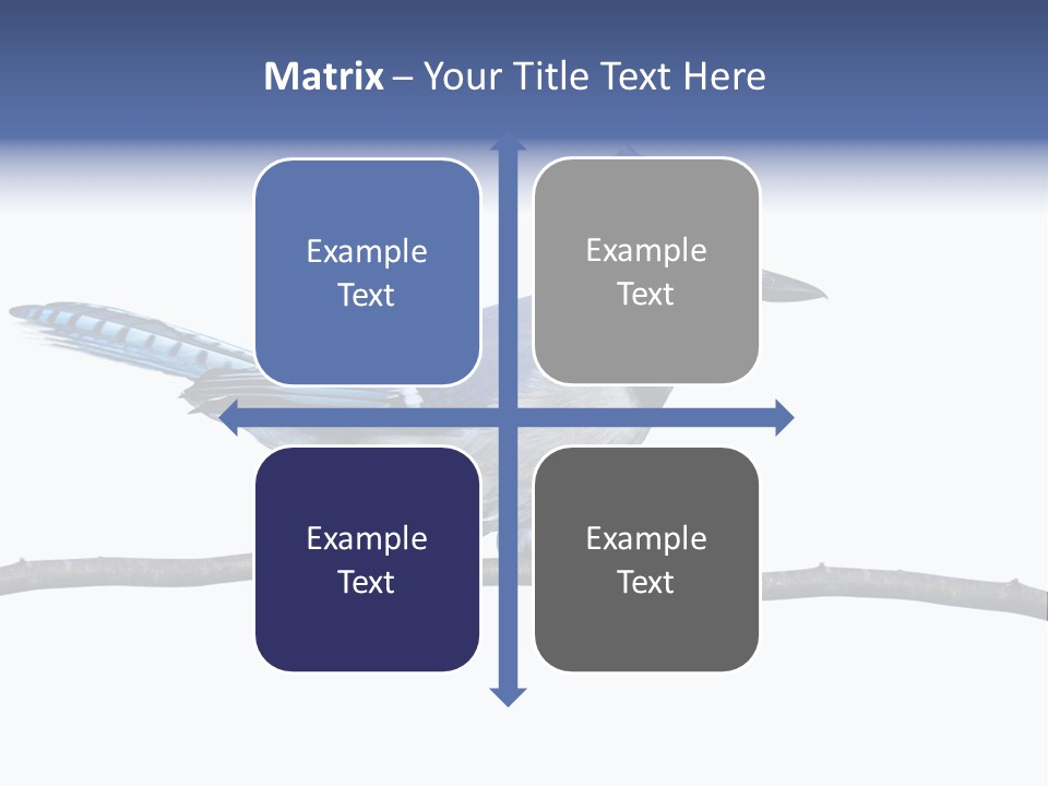 Wildlife Perch Bird PowerPoint Template