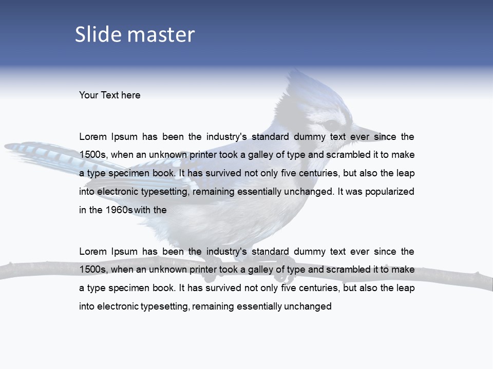 Wildlife Perch Bird PowerPoint Template