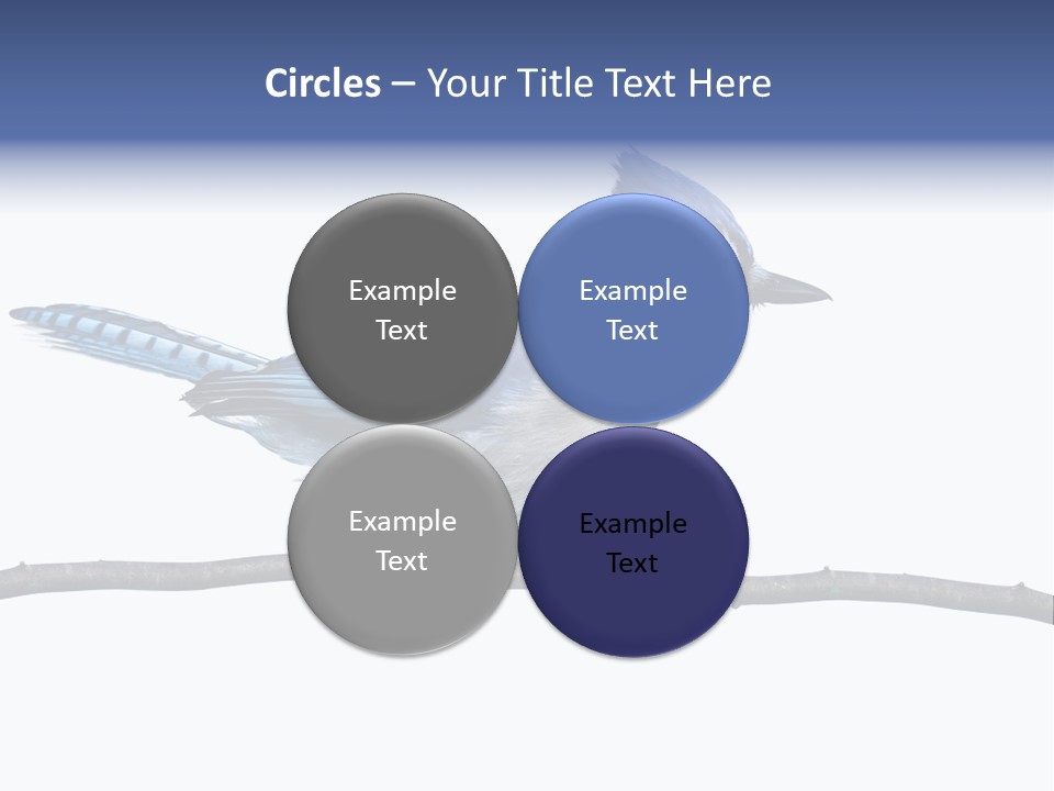 Wildlife Perch Bird PowerPoint Template