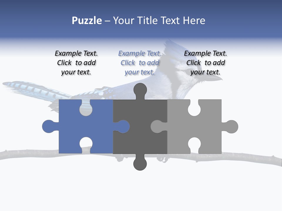 Wildlife Perch Bird PowerPoint Template