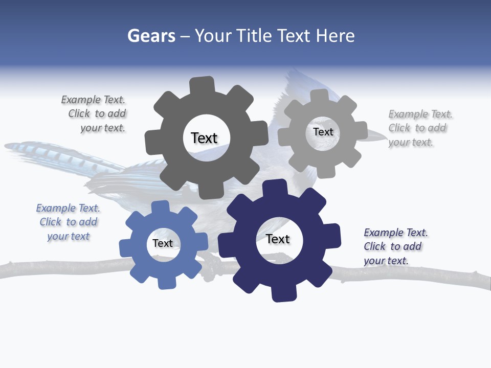 Wildlife Perch Bird PowerPoint Template