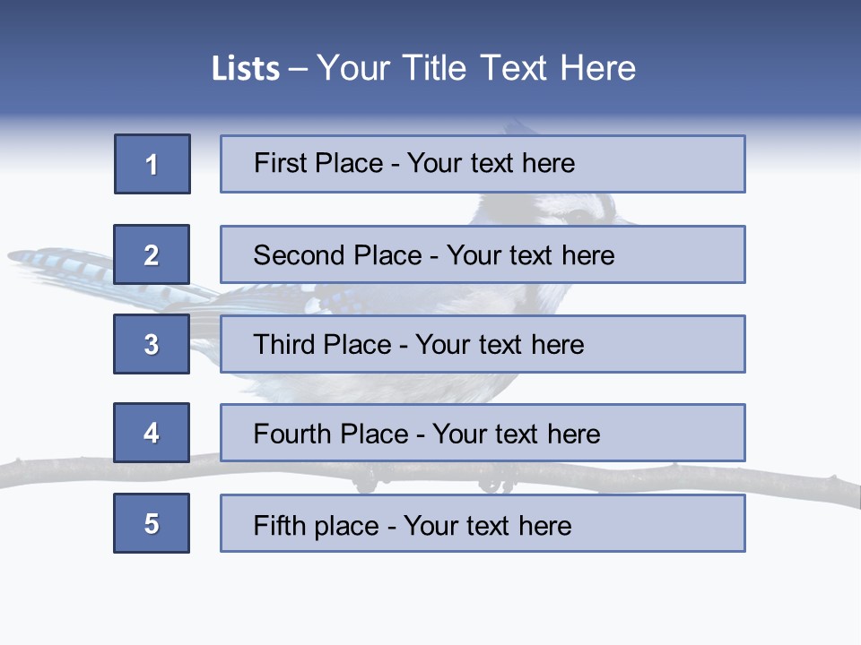 Wildlife Perch Bird PowerPoint Template