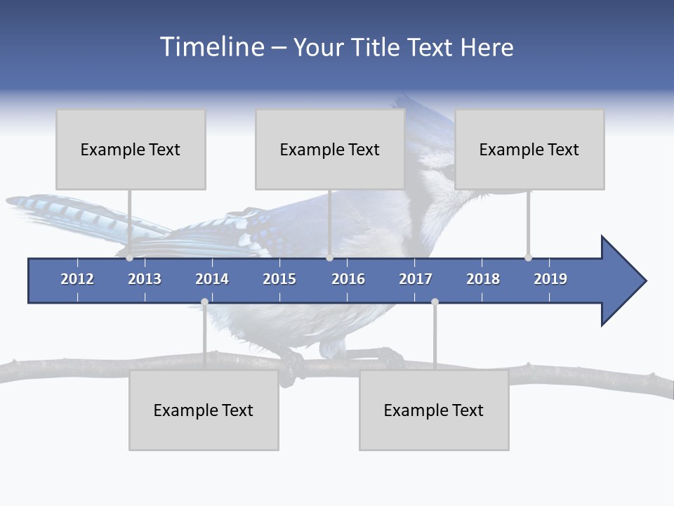 Wildlife Perch Bird PowerPoint Template