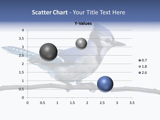 Wildlife Perch Bird PowerPoint Template