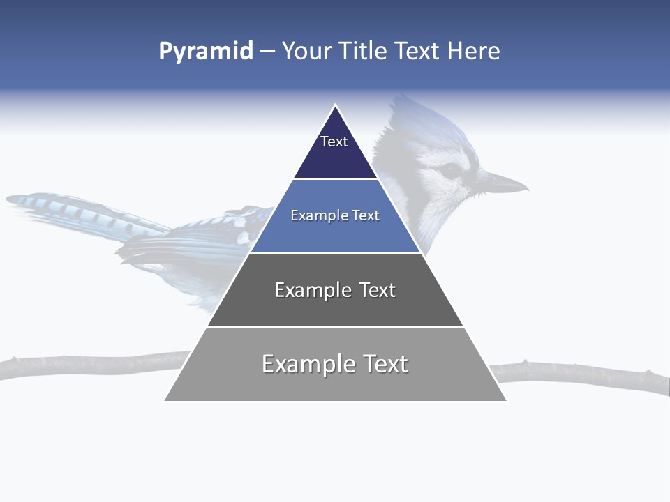 Wildlife Perch Bird PowerPoint Template