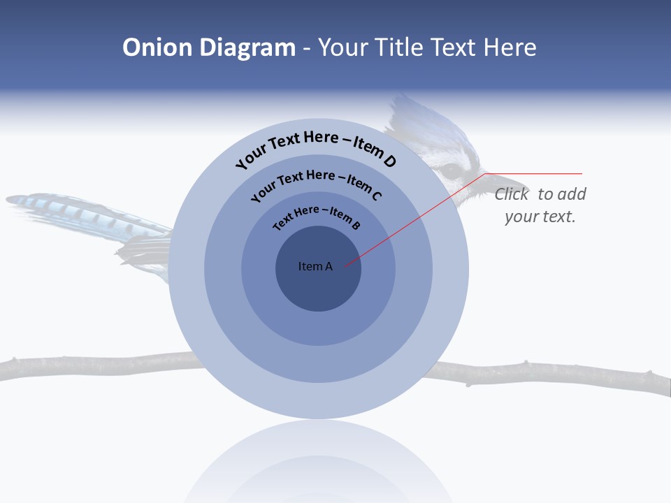 Wildlife Perch Bird PowerPoint Template