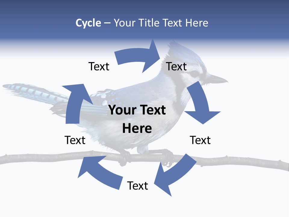 Wildlife Perch Bird PowerPoint Template
