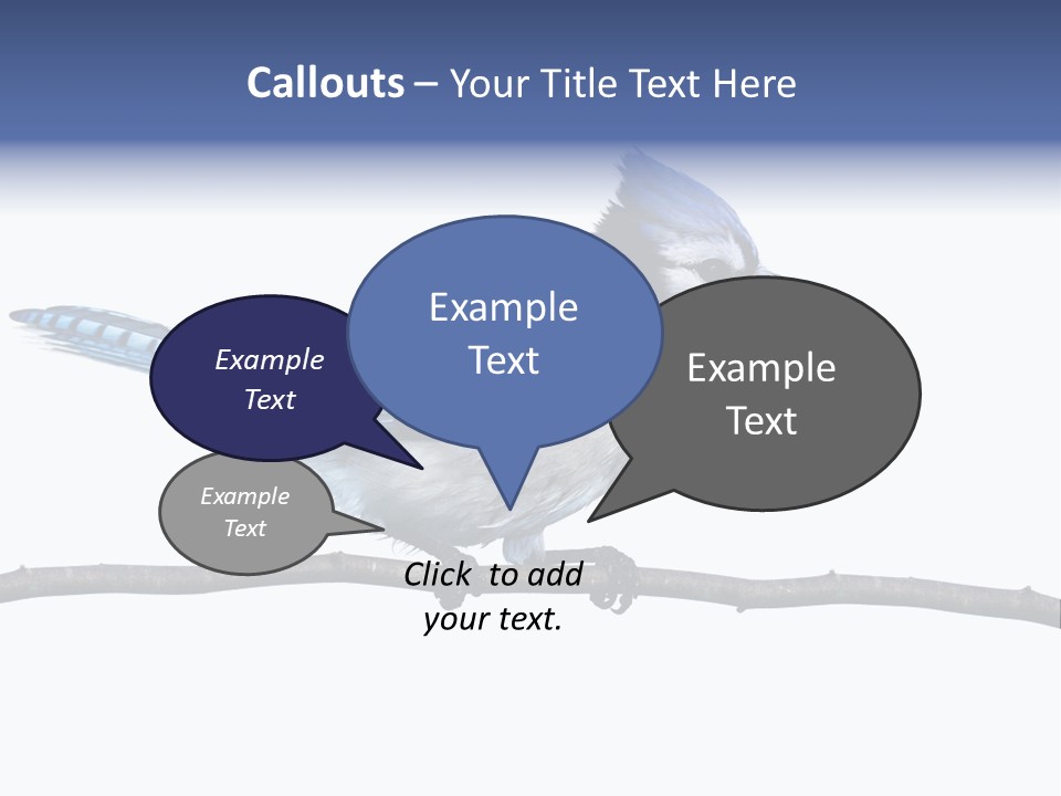 Wildlife Perch Bird PowerPoint Template
