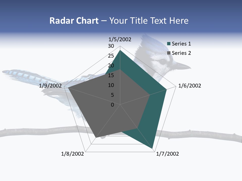 Wildlife Perch Bird PowerPoint Template