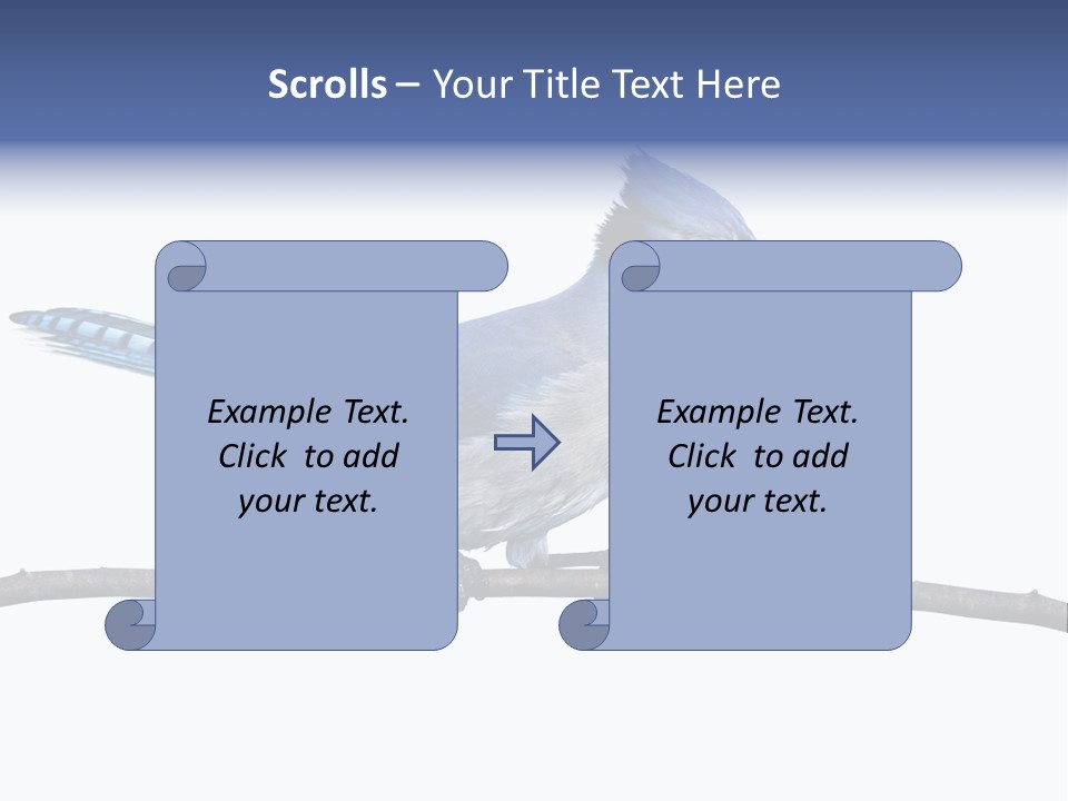 Wildlife Perch Bird PowerPoint Template