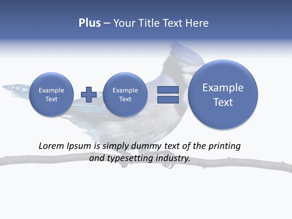 Wildlife Perch Bird PowerPoint Template