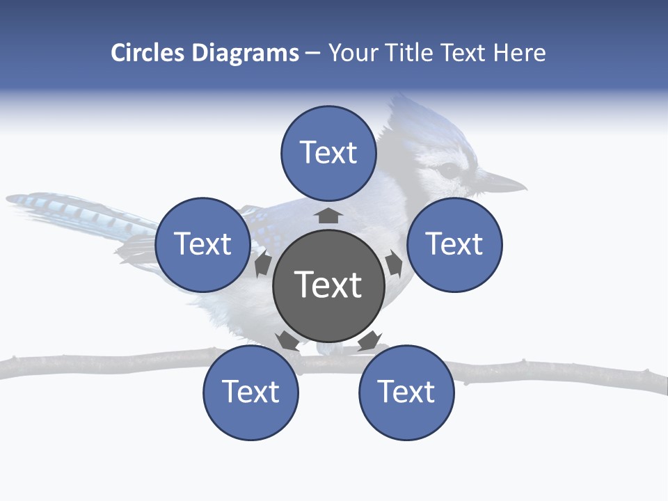 Wildlife Perch Bird PowerPoint Template