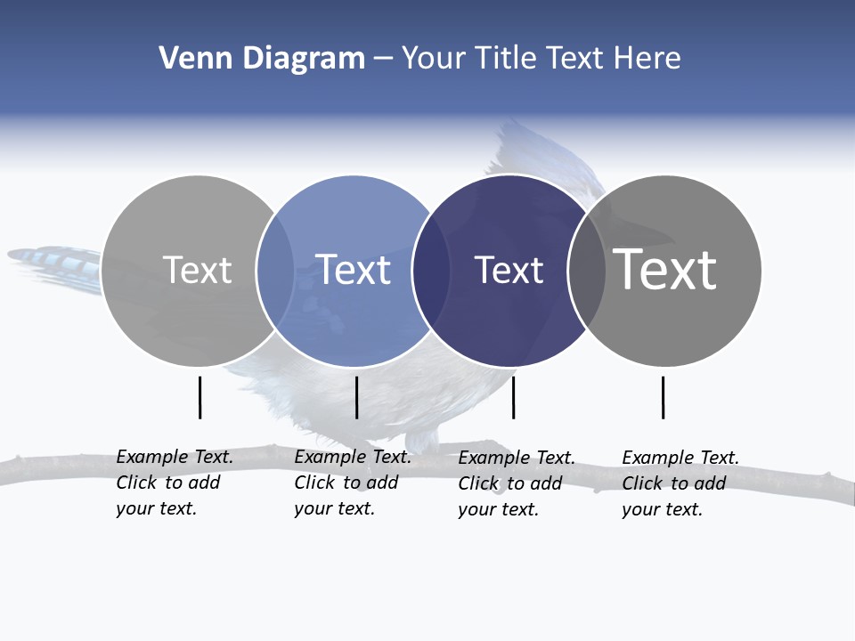 Wildlife Perch Bird PowerPoint Template