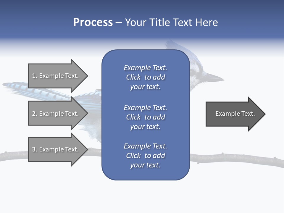 Wildlife Perch Bird PowerPoint Template