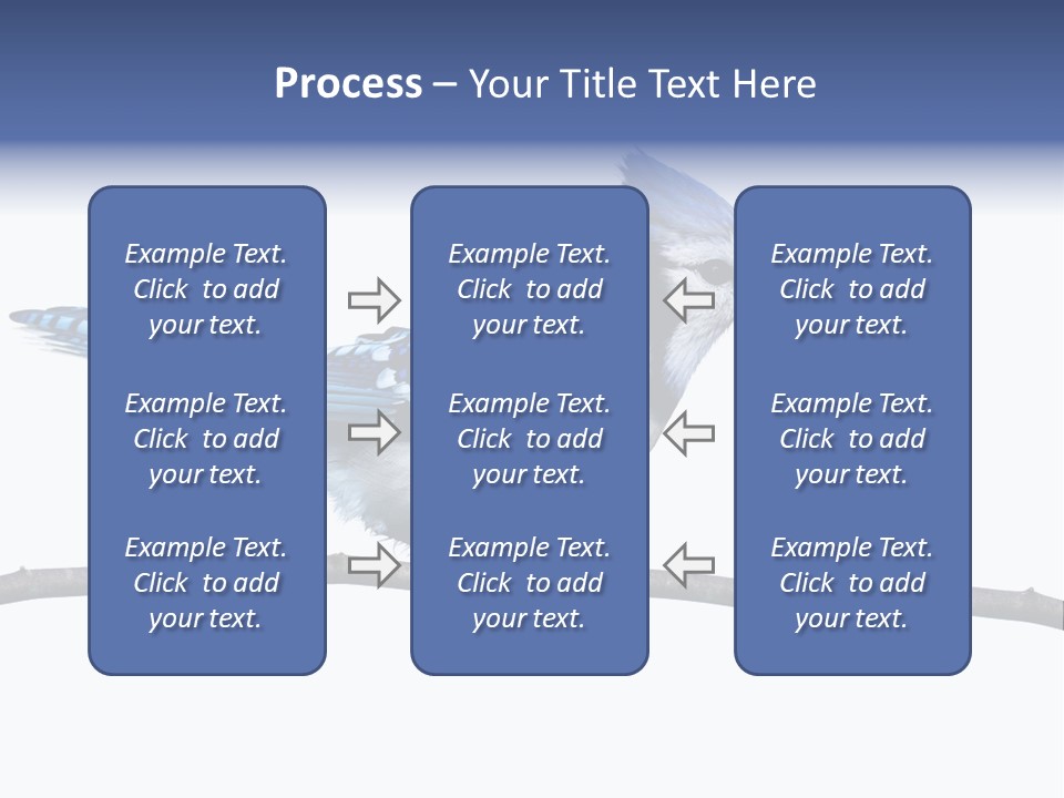 Wildlife Perch Bird PowerPoint Template