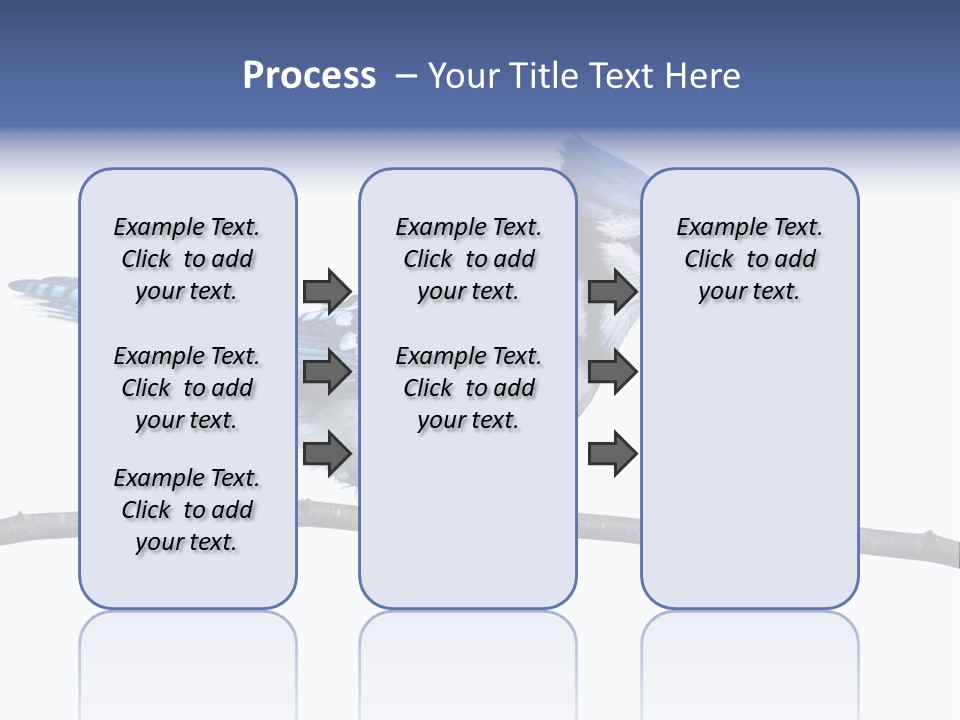 Wildlife Perch Bird PowerPoint Template