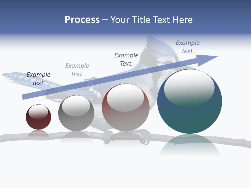Wildlife Perch Bird PowerPoint Template