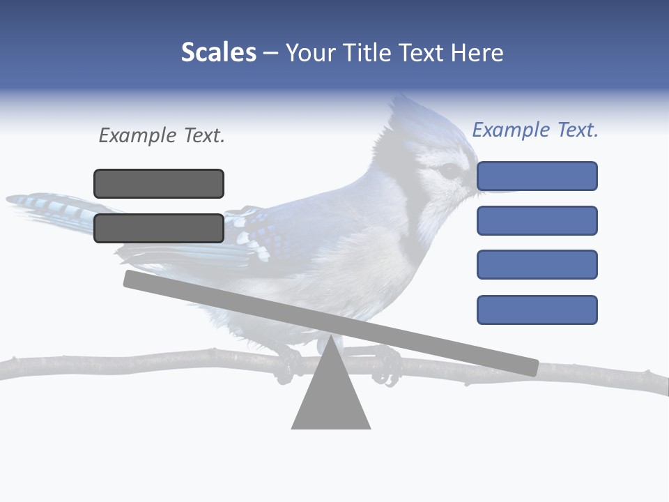 Wildlife Perch Bird PowerPoint Template