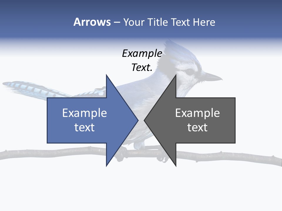 Wildlife Perch Bird PowerPoint Template