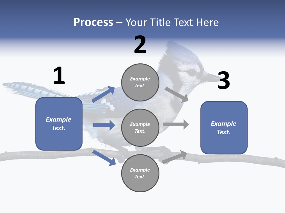 Wildlife Perch Bird PowerPoint Template