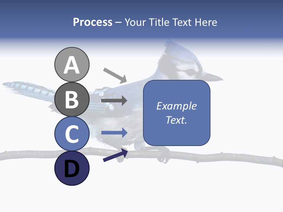 Wildlife Perch Bird PowerPoint Template