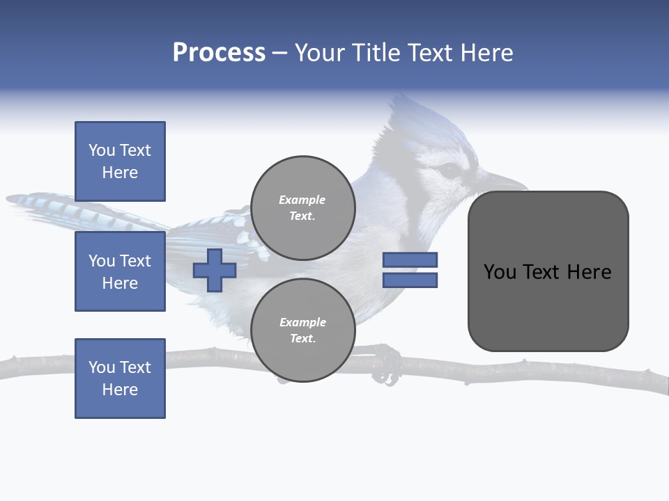 Wildlife Perch Bird PowerPoint Template