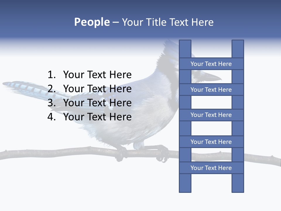 Wildlife Perch Bird PowerPoint Template