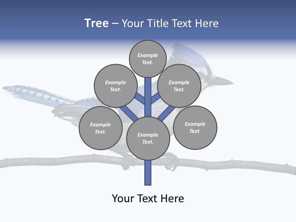 Wildlife Perch Bird PowerPoint Template