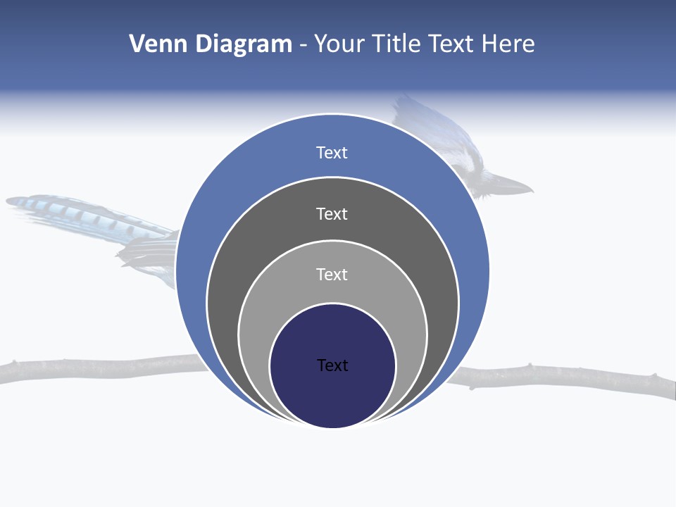 Wildlife Perch Bird PowerPoint Template