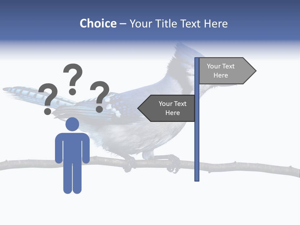 Wildlife Perch Bird PowerPoint Template