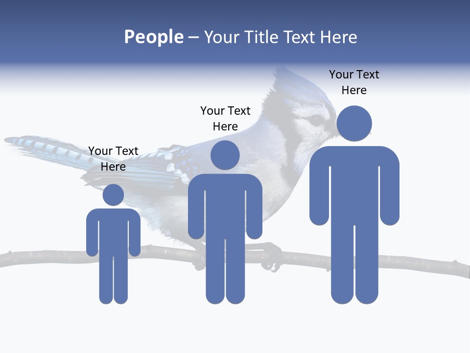 Wildlife Perch Bird PowerPoint Template