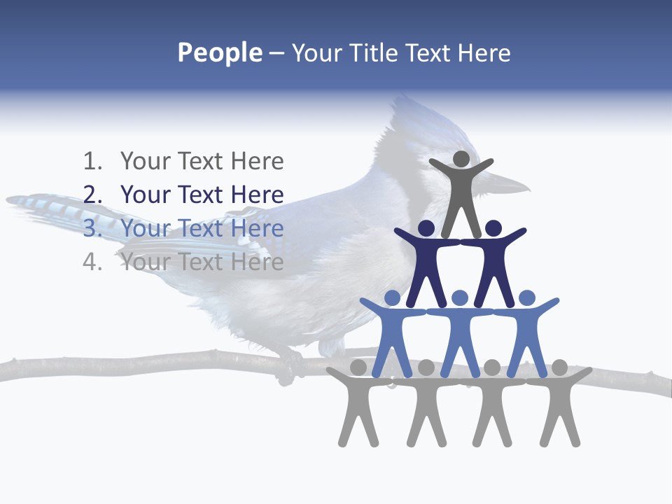 Wildlife Perch Bird PowerPoint Template