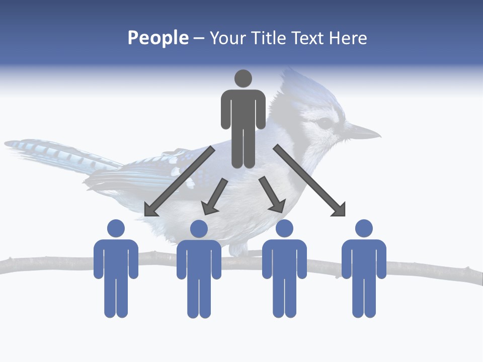 Wildlife Perch Bird PowerPoint Template