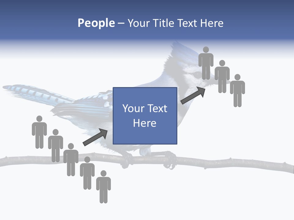 Wildlife Perch Bird PowerPoint Template