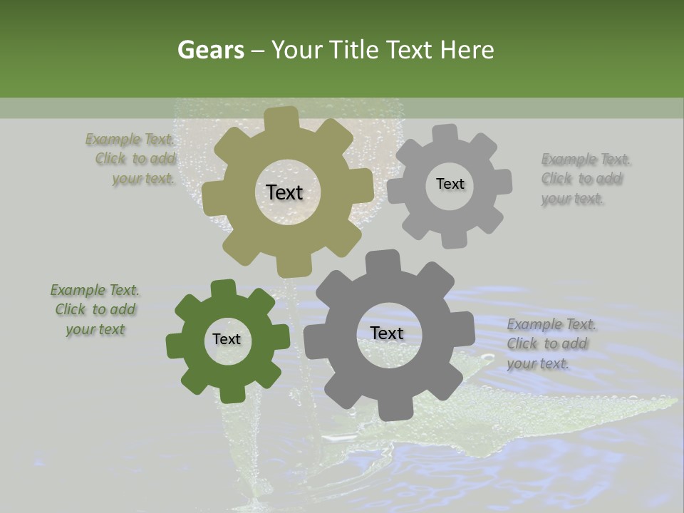 Delicious Reflection Bunch PowerPoint Template