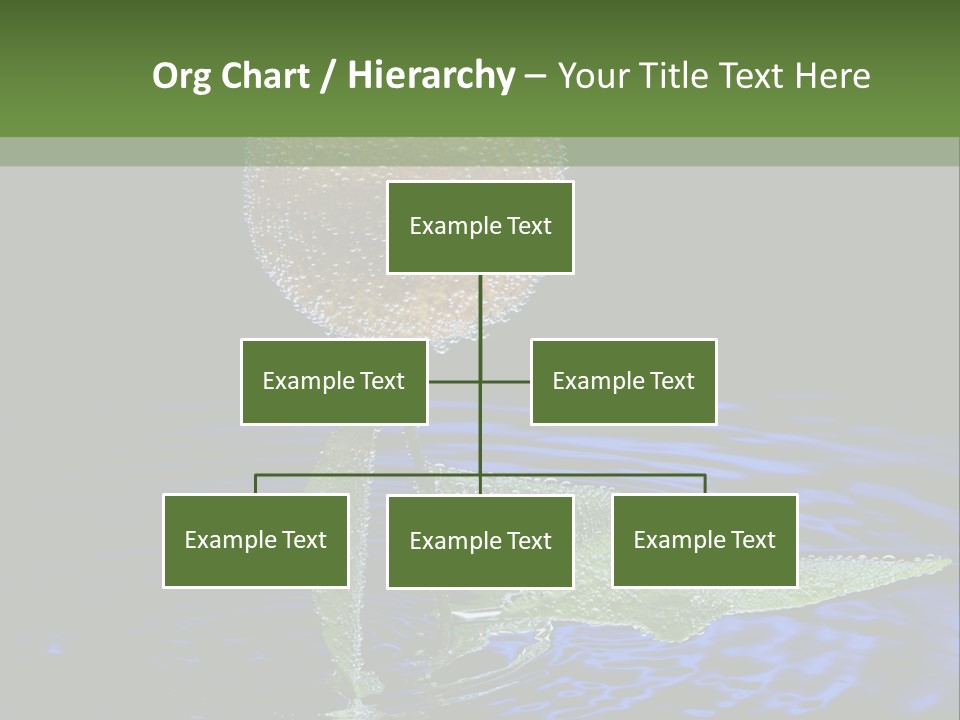 Delicious Reflection Bunch PowerPoint Template