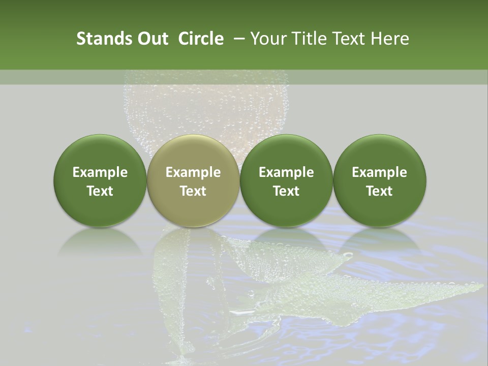 Delicious Reflection Bunch PowerPoint Template