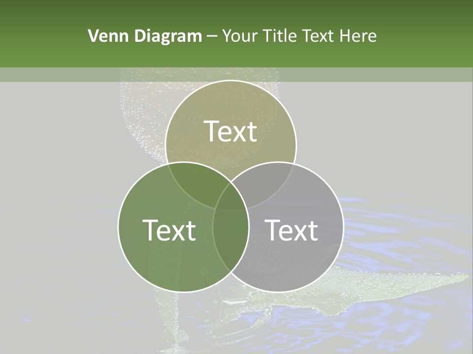 Delicious Reflection Bunch PowerPoint Template