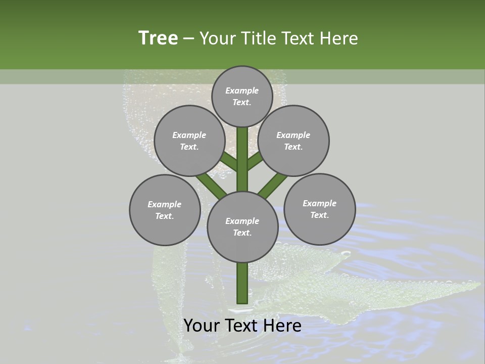 Delicious Reflection Bunch PowerPoint Template