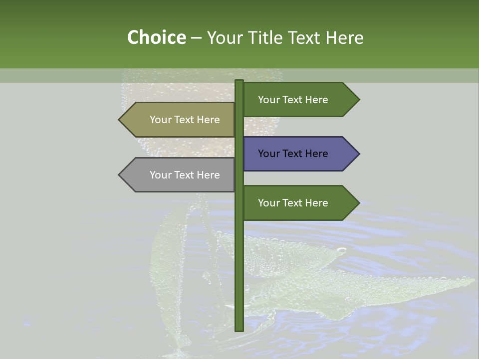 Delicious Reflection Bunch PowerPoint Template