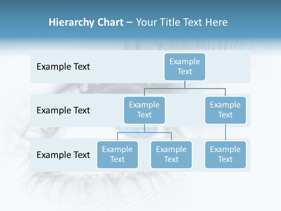 Natural Macro Toned PowerPoint Template