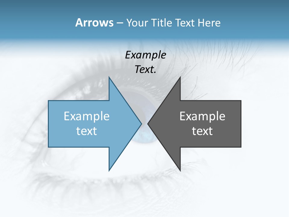 Natural Macro Toned PowerPoint Template