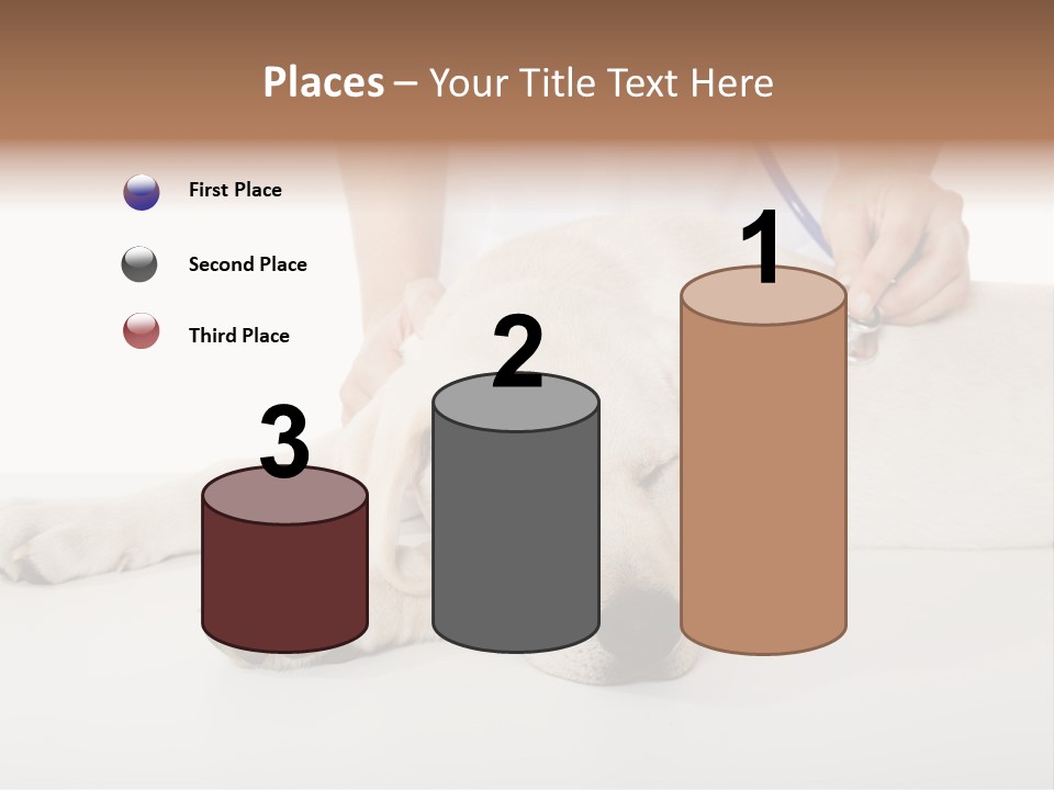 Cute Work Specialist PowerPoint Template