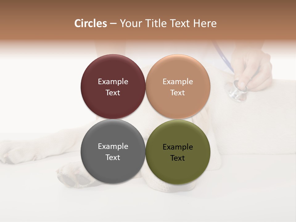 Cute Work Specialist PowerPoint Template