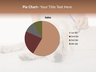 Cute Work Specialist PowerPoint Template