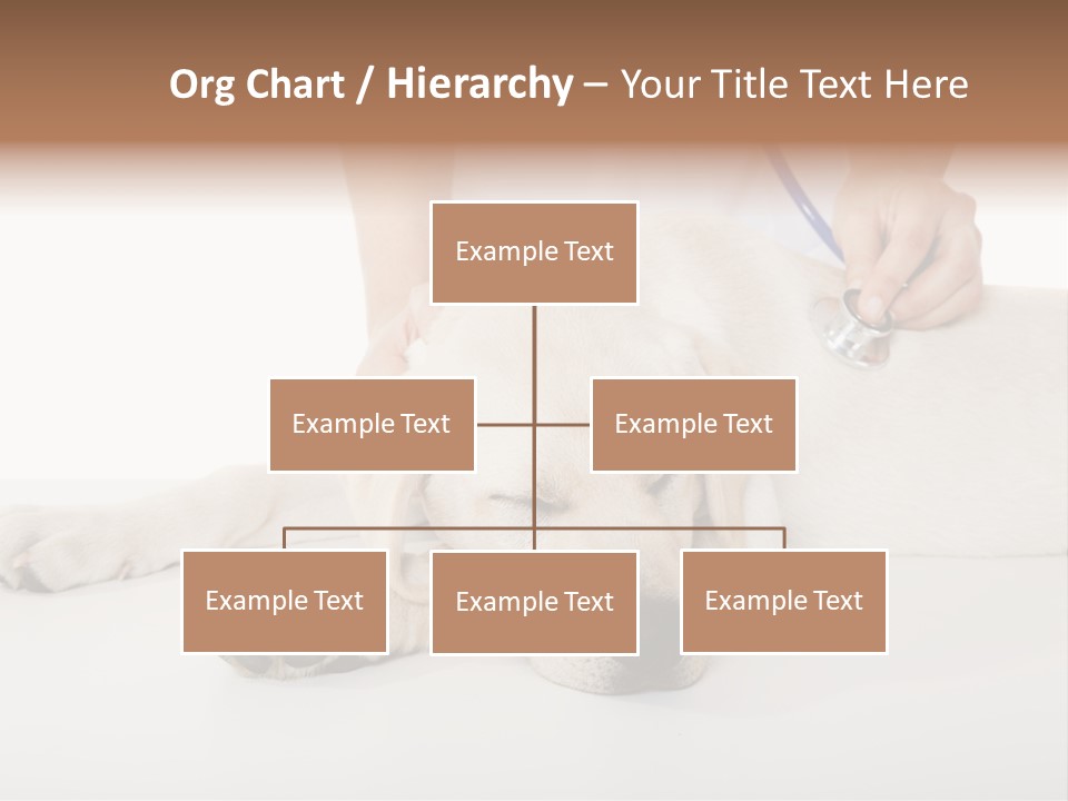 Cute Work Specialist PowerPoint Template