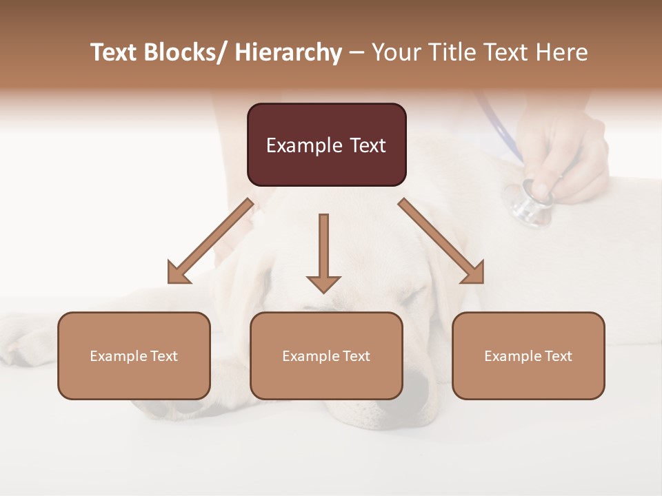 Cute Work Specialist PowerPoint Template